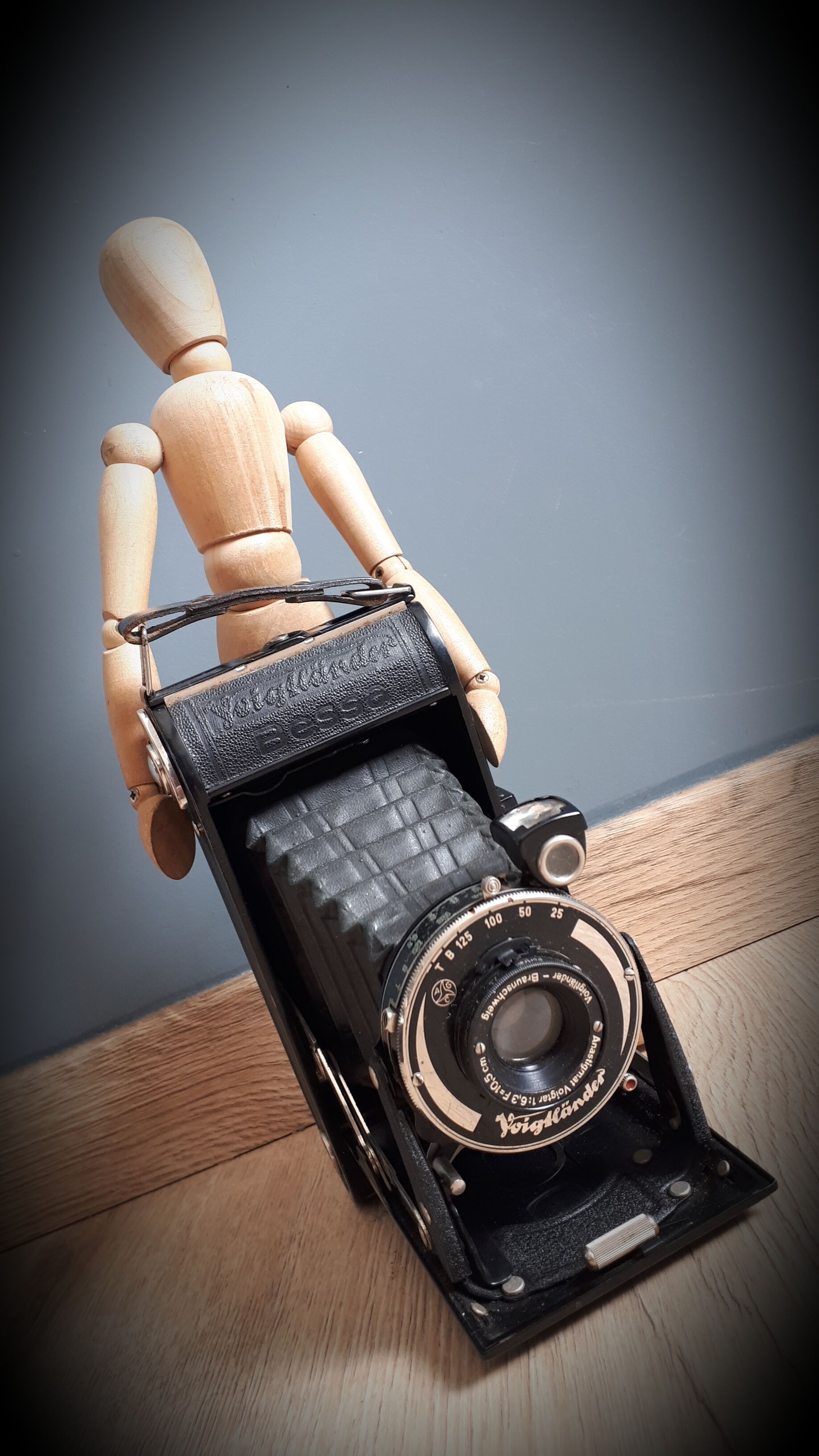 Voigslander bellows camera