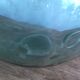 Demijohn xxl 30l