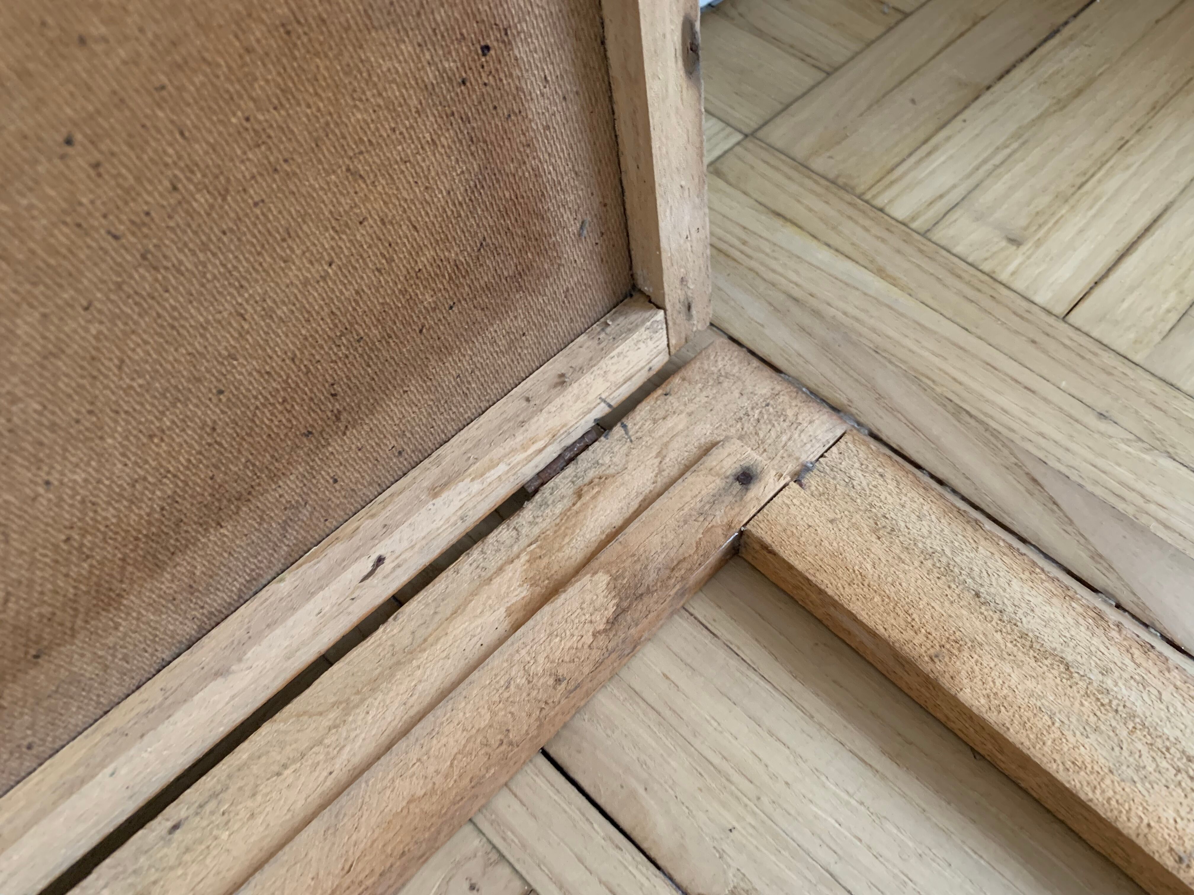 Pedagogical school poster frame