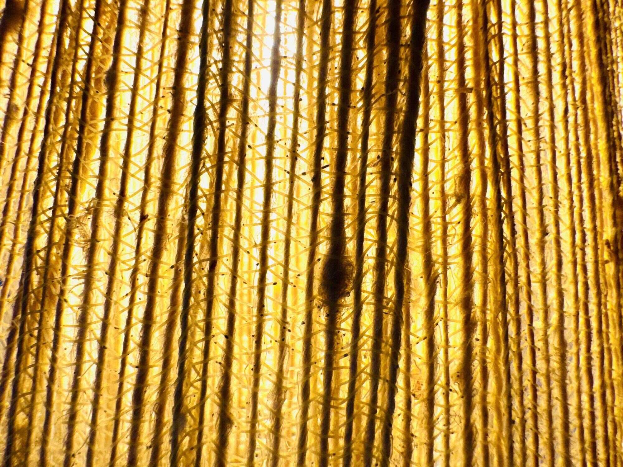 Model 332 Table Lamp In Brass And Natural Fibre By Eae, Sweden 1950S