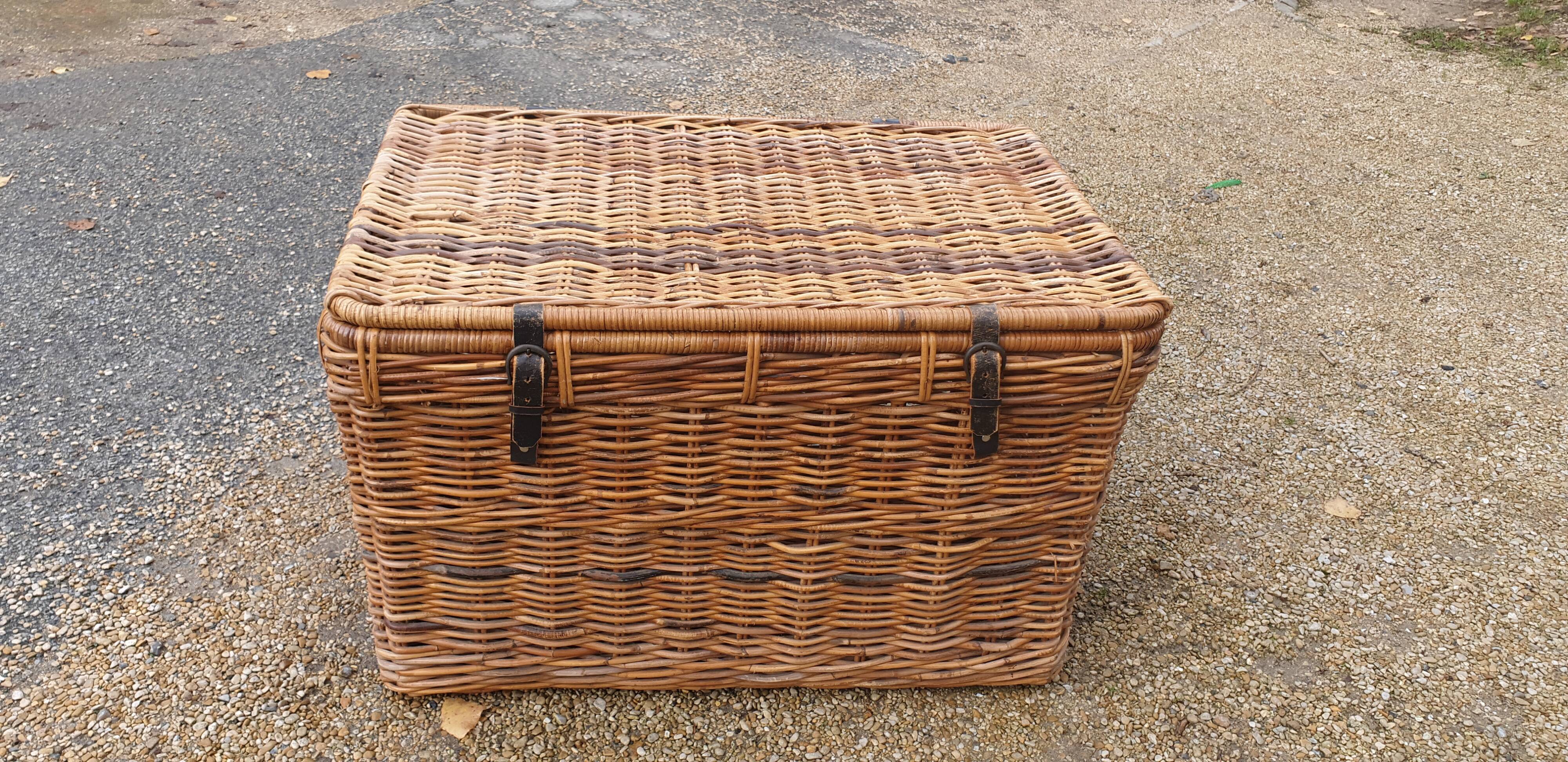Rattan trunk