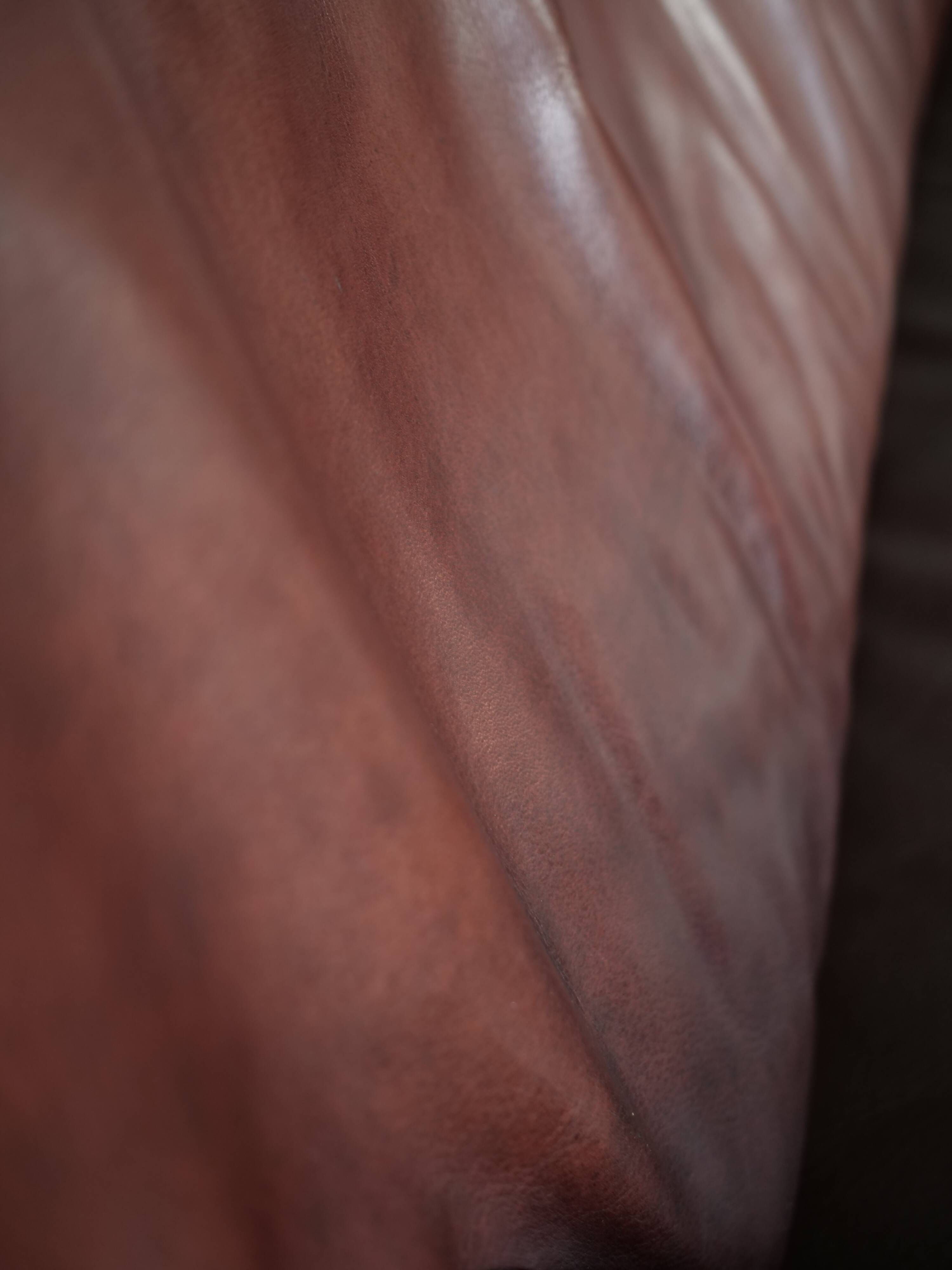 Oxblood leather sofa DeSede DS-72b