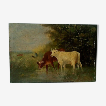 Table oil on panel cows late 19th early 20th century