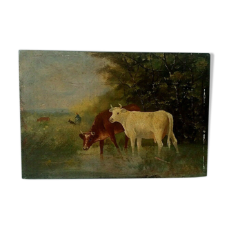 Tableau huile sur panneau vaches fin XIXème début XXème