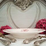 Antique mounted plate in ironstone earthenware.