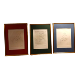 Set of three sanguine drawings