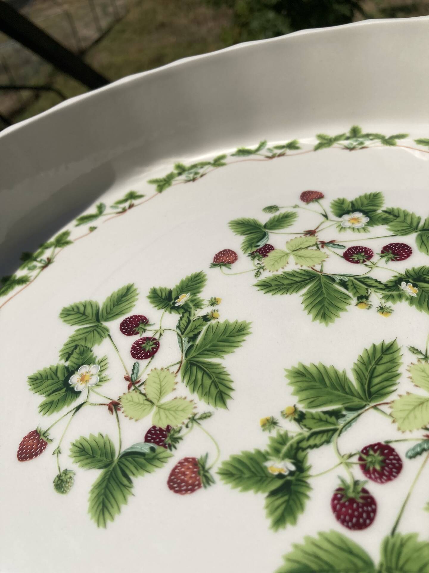Flan mould Susan Williams-Ellis botanical patterns