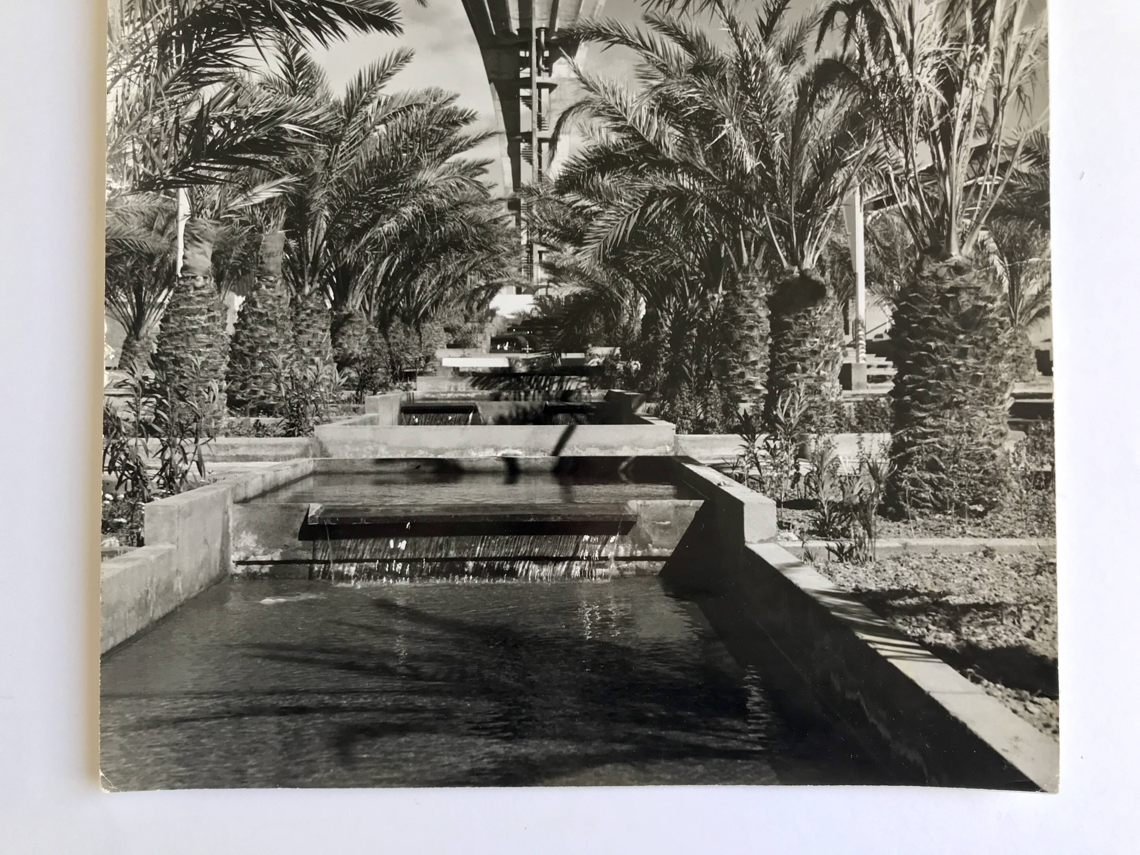 F. Schneider, brutalist landscape (Algeria), 1960s. Black and white silver print.