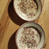 Datura plates iron earth