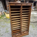Antique double curtain cabinet in oak (internal drawers)