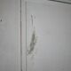 Antique painted wooden doors