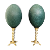 Paire d'oeufs d'émeu naturellement vert / bleu sur socles en laiton (année 50 ou avant)