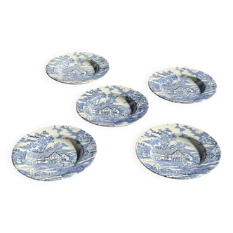 Set of 5 blue English plates D23