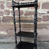 Napoleon III style blackened wood bookcase