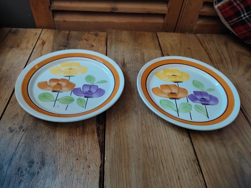 Plates Porcelain Digoin Anemones Sarreguemines Old dp 0722127