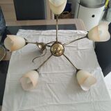 Lustre 5 branches