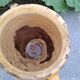 Old grease pot