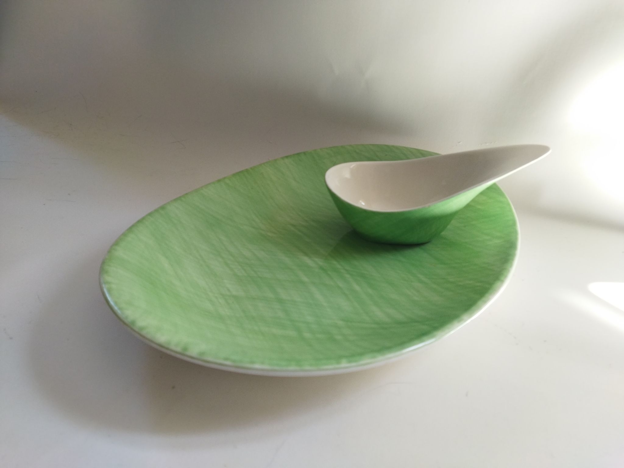 Dish and sauce boat Mistral Salins France