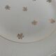 11 Salins flat plates