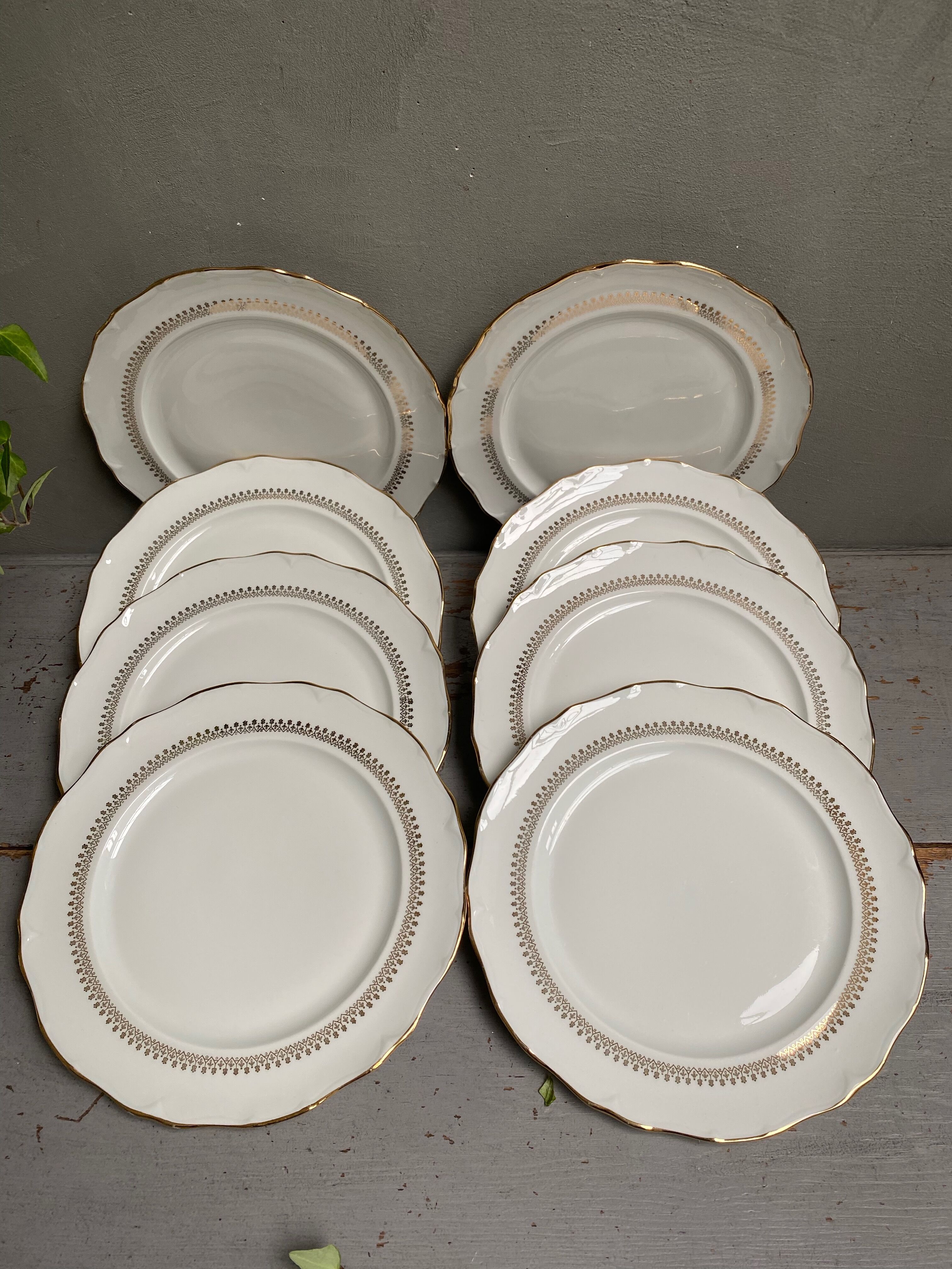 Flat plates in Sologne porcelain