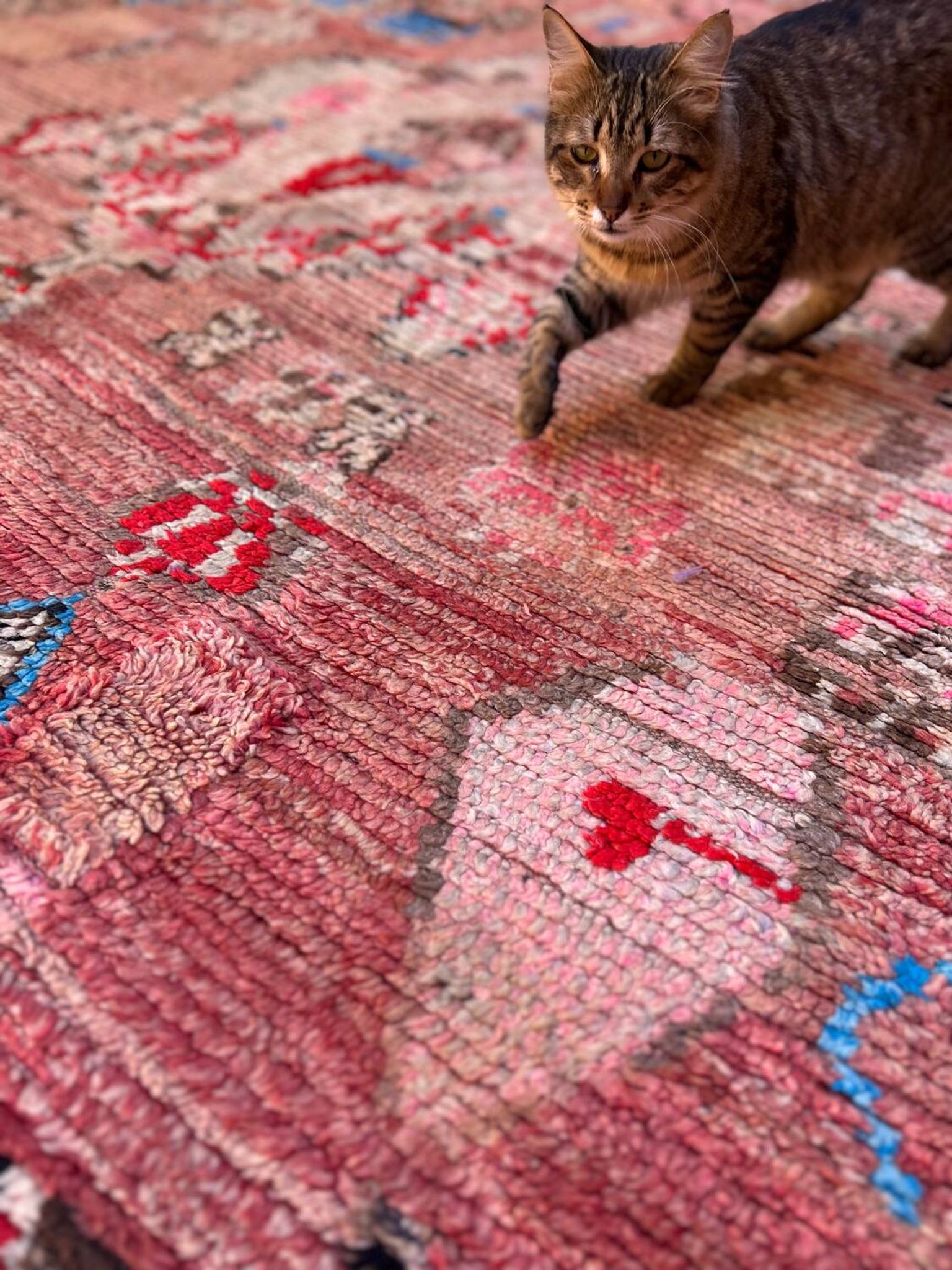 Vintage Boujaad rug