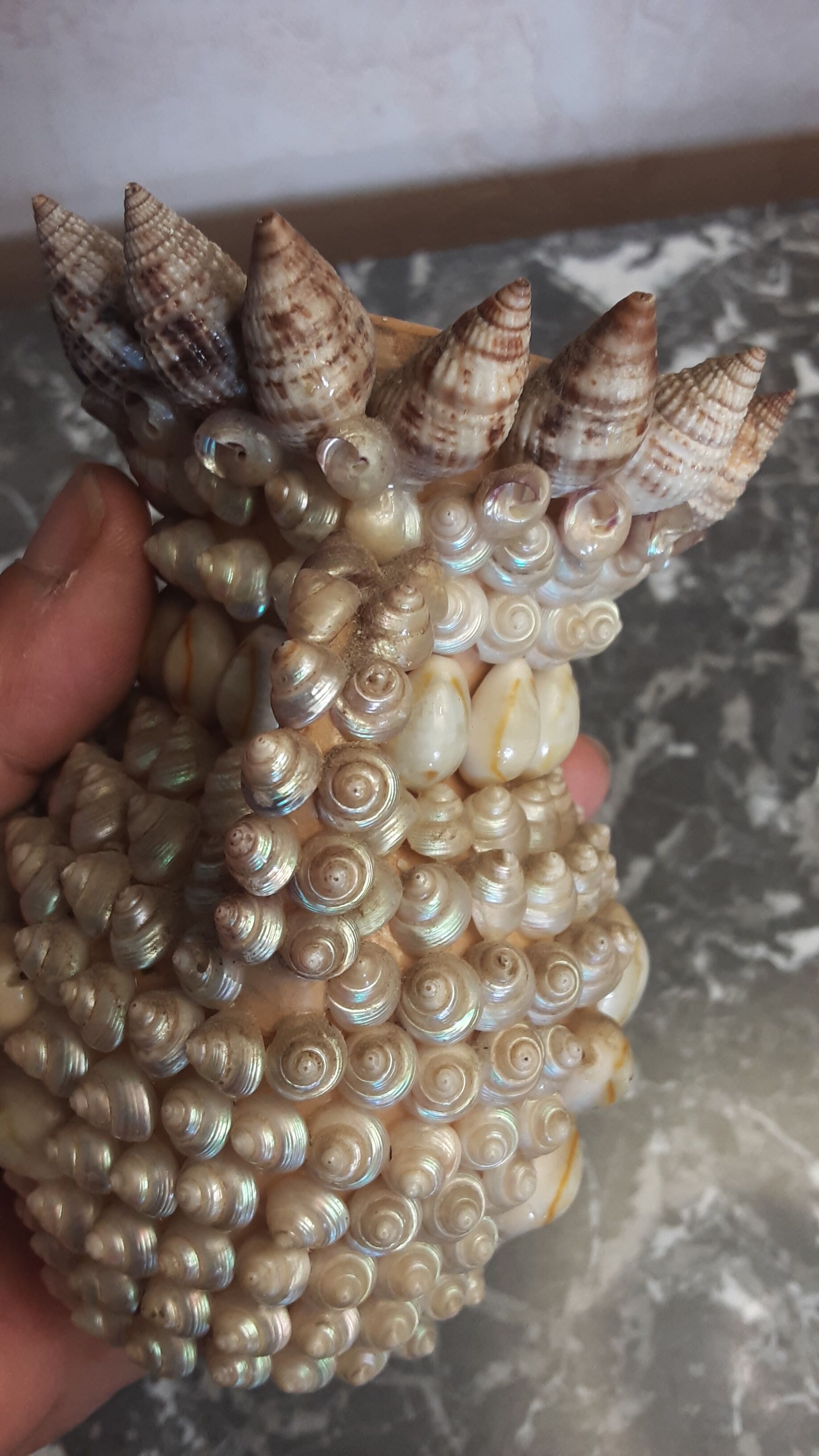 Vase terracotta shells - year 70