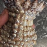 Vase terracotta shells - year 70