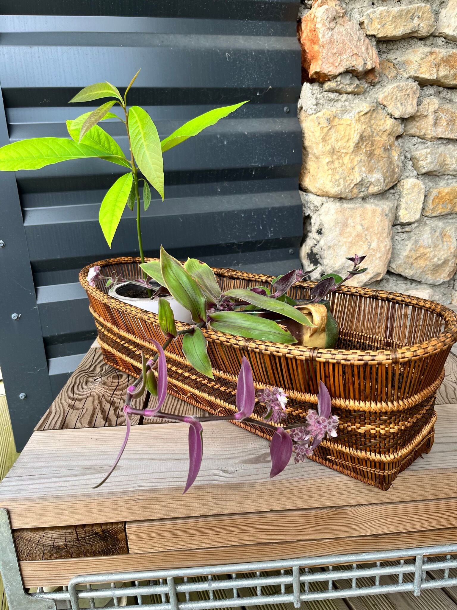 Pot cover in wicker and rattan