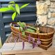 Pot cover in wicker and rattan