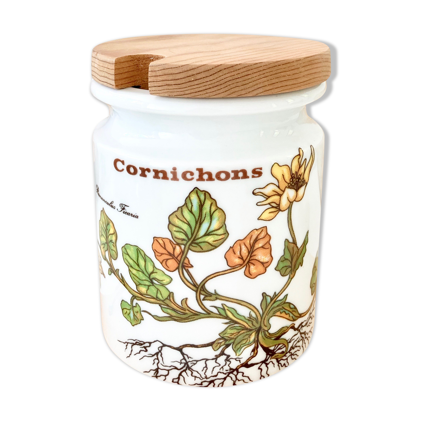 Ceramic pot vintage herbarium decoration