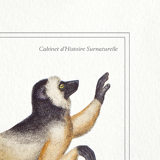 Set of 3 chimera lithography animal engraving