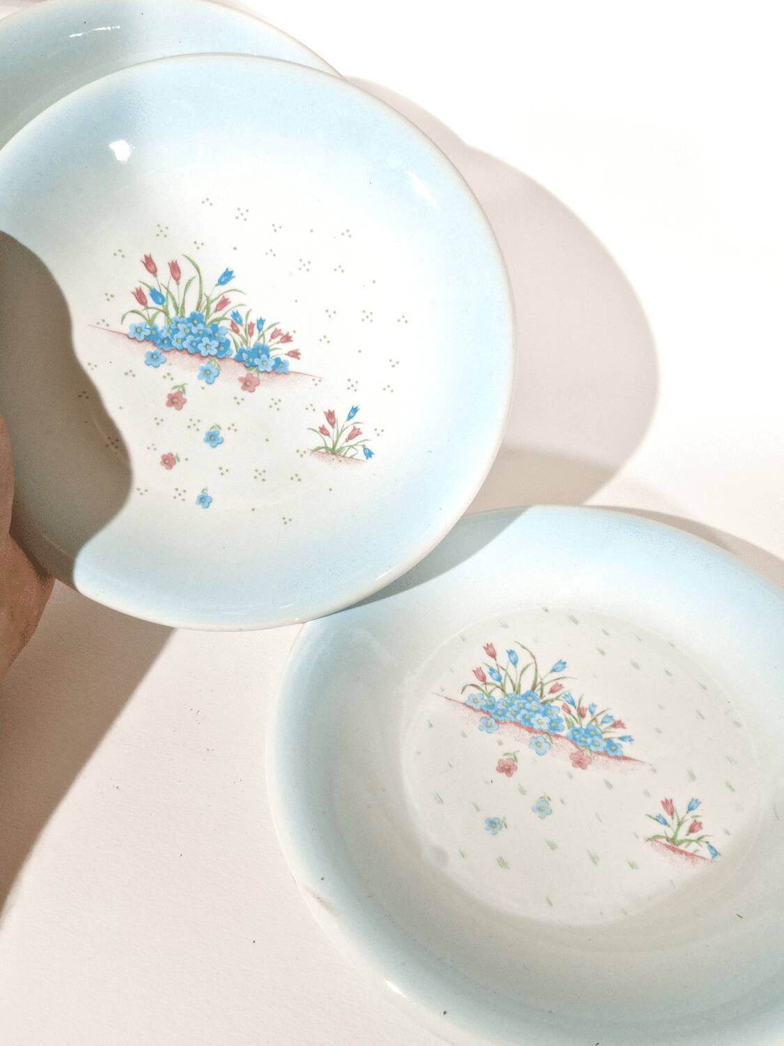 3 assiettes Primula décor Myosotis