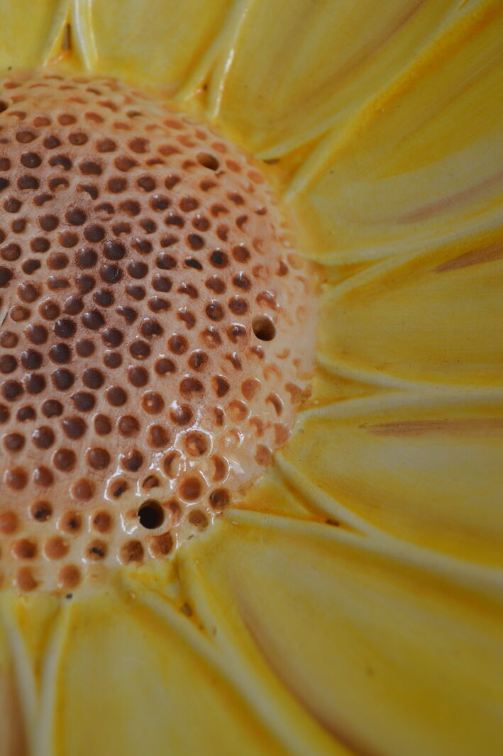 Salad bowl sunflower drainer in slip