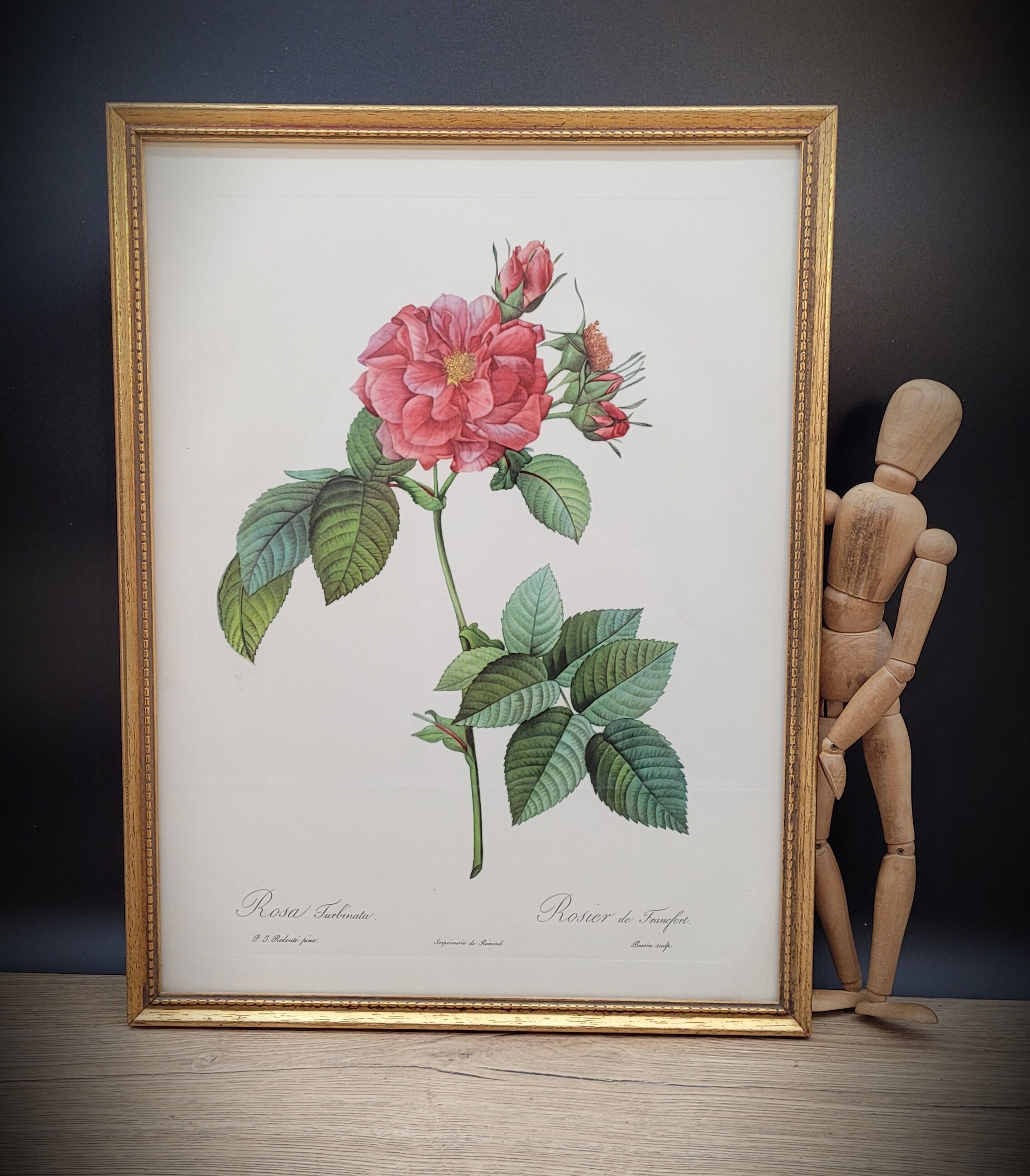 Lithograph Rosier Frankfurt