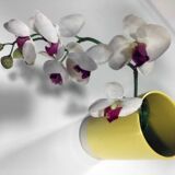 Vintage Vase • Ceramic • Japan • 1980