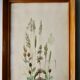 Watercolor painting of wildflowers and grasses, signed, 70s