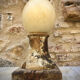 Ostrich egg