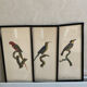 Vintage bird lithographs