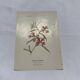 Old double-sided botanical engraving naturalist plate 1800
