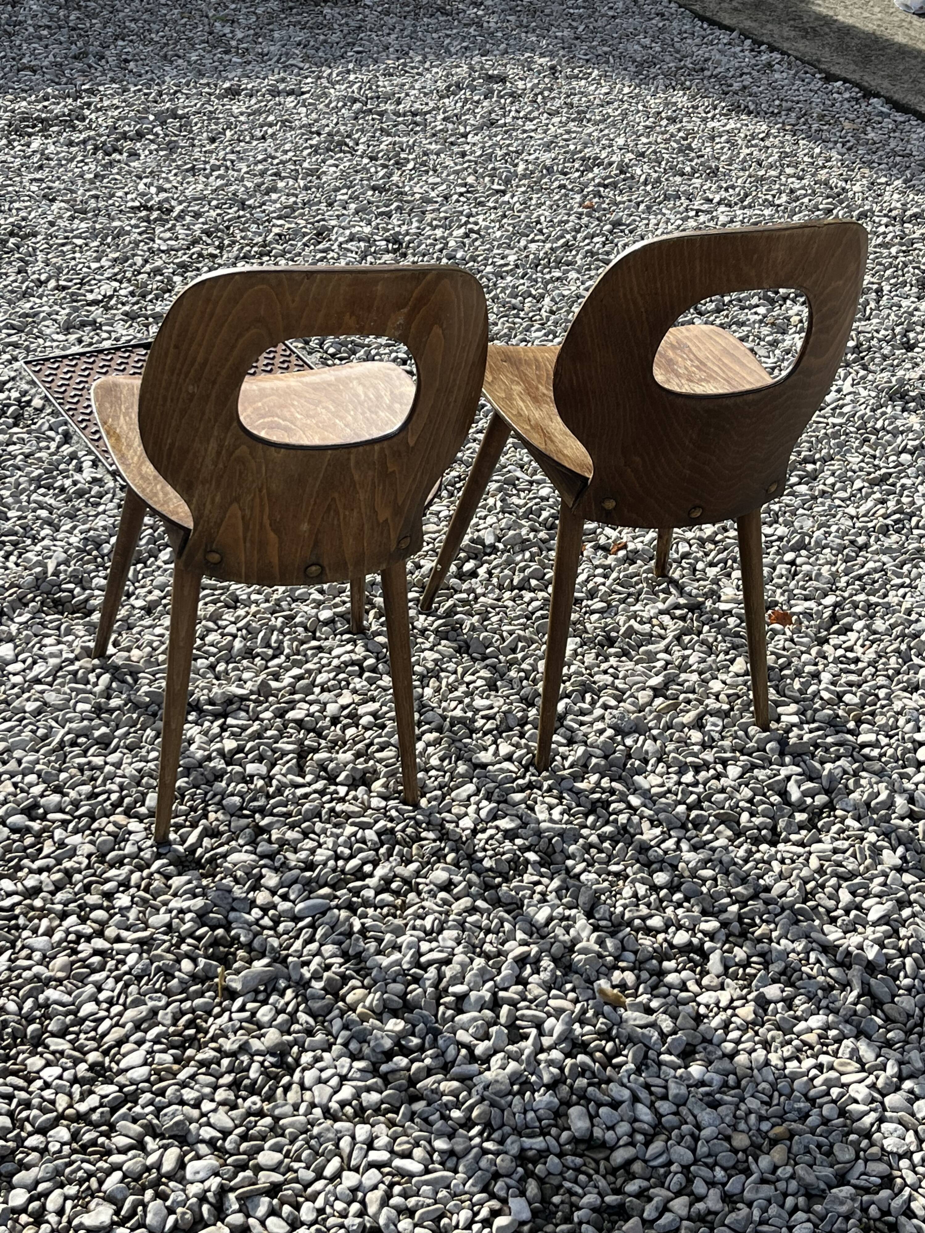 Pair of Baumann Fourmi chairs
