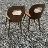 Pair of Baumann Fourmi chairs