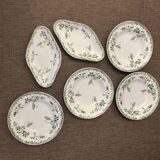 Plates and terra de fer raviers