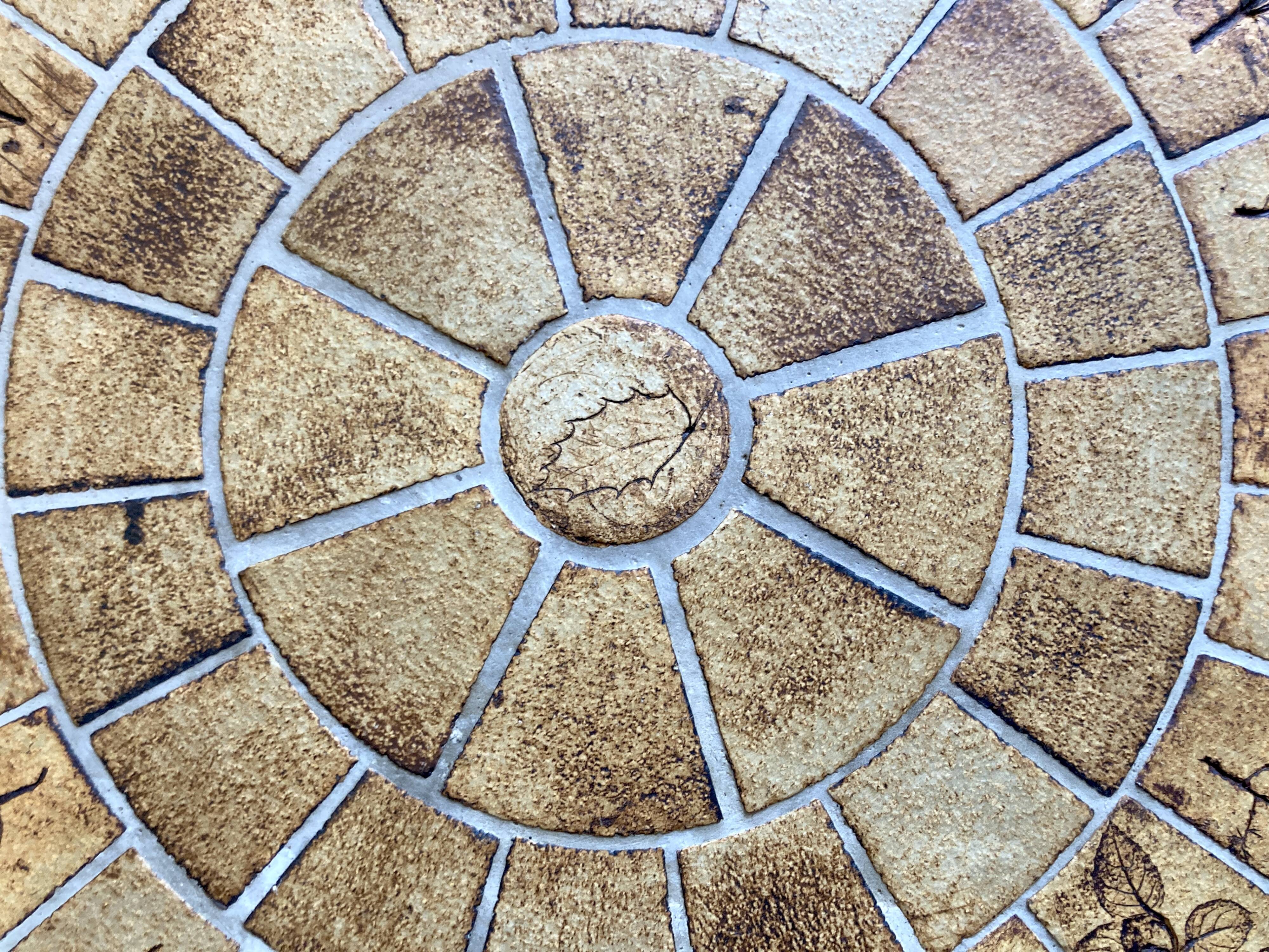 Round herbarium coffee table - Roger Capron