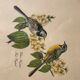 Gravure sous verre deux oiseaux wagtail
