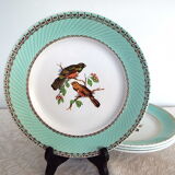 4 flat plates Birds