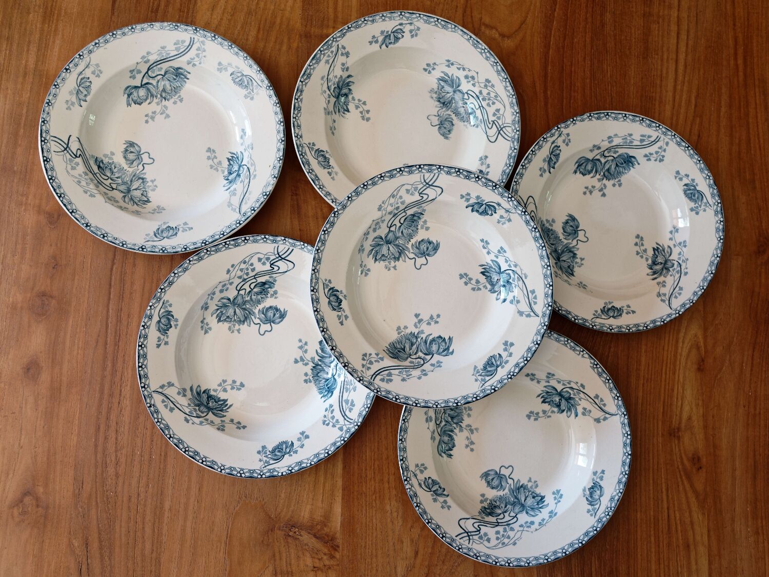 Iron earth soup plates Sarreguemines Royat