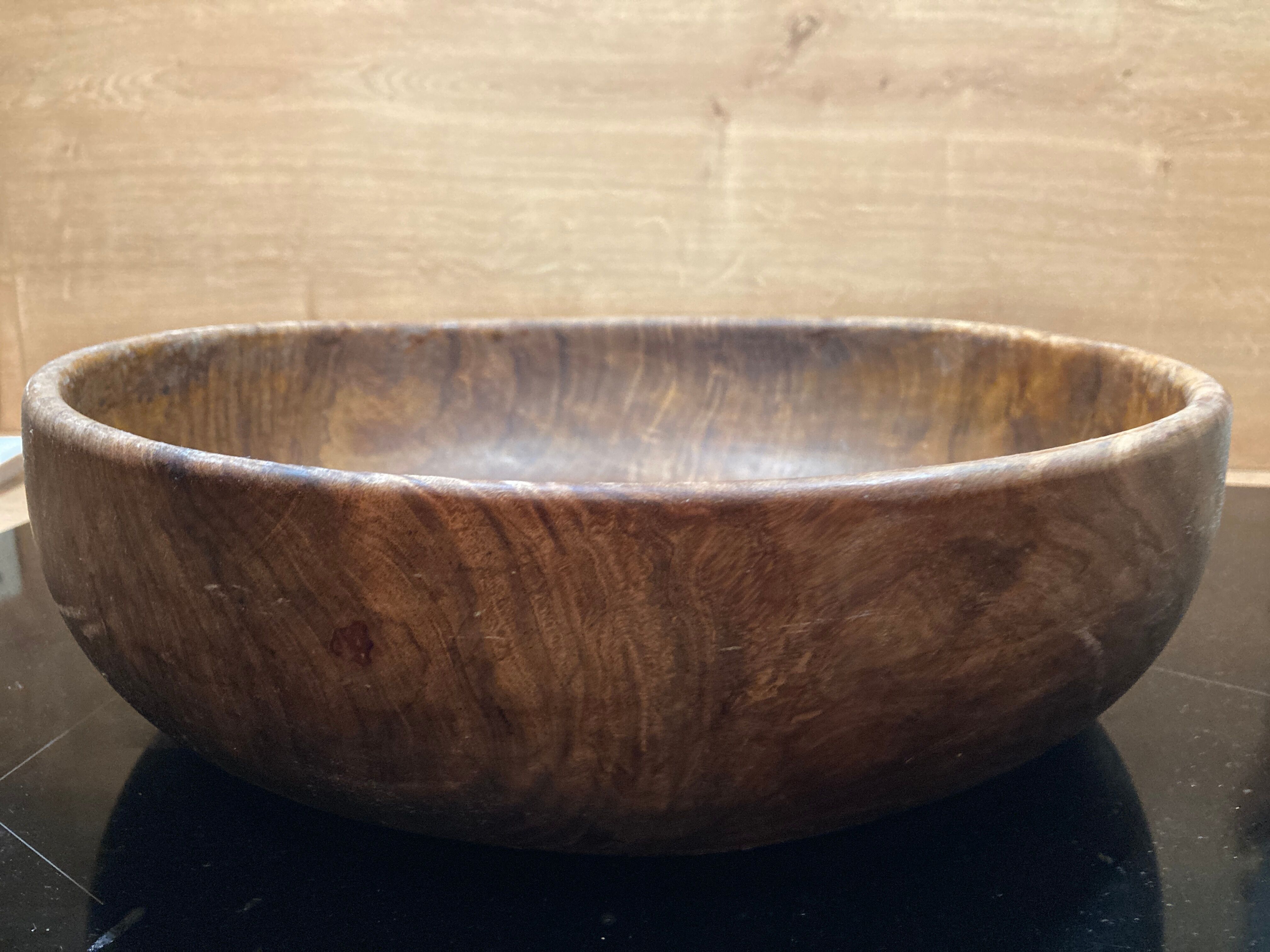 Round dish in olive tree
