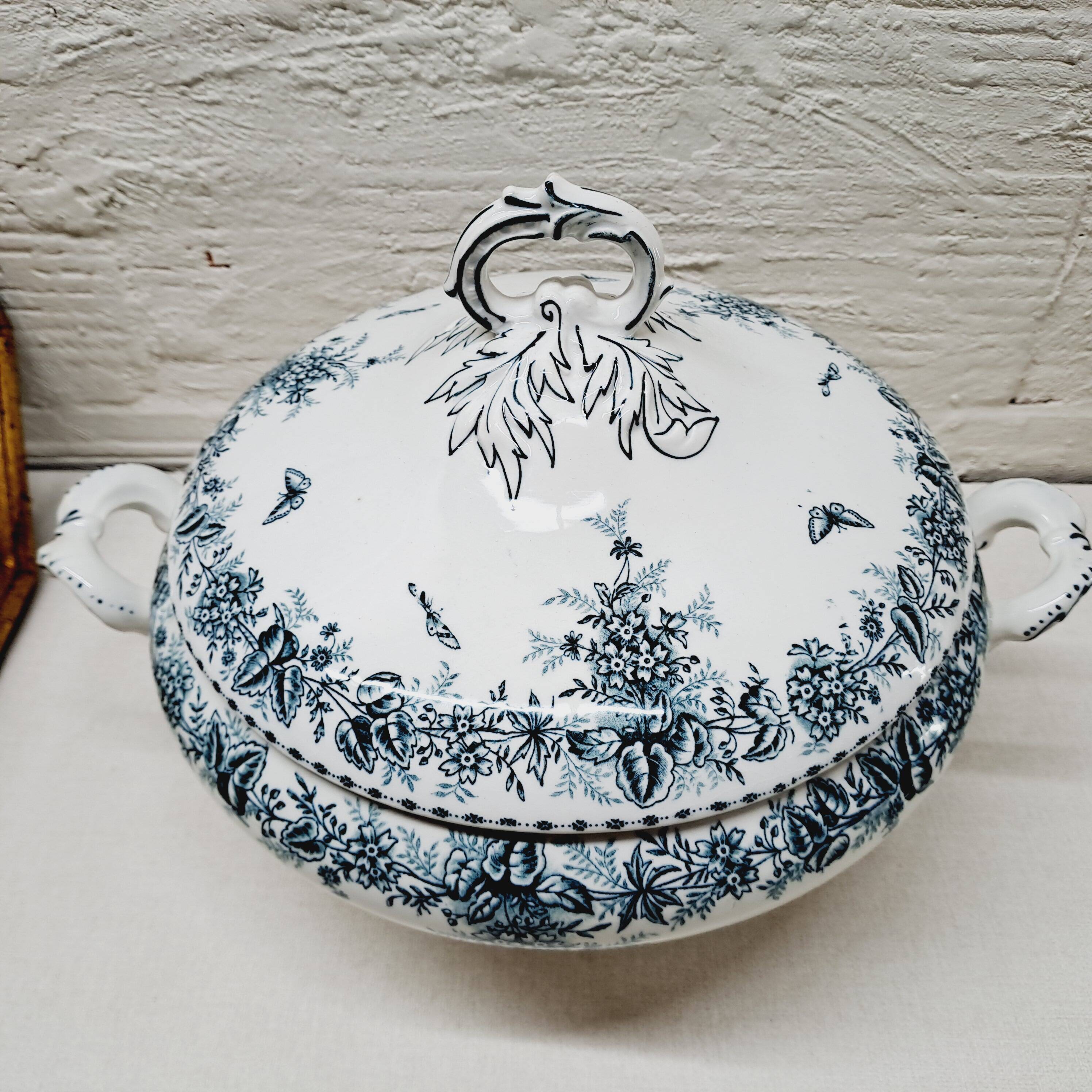 Vegetable Terre de Fer Onaing