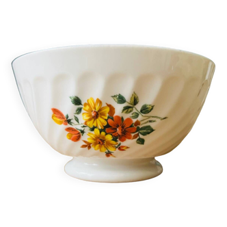 Sarreguemines bowl