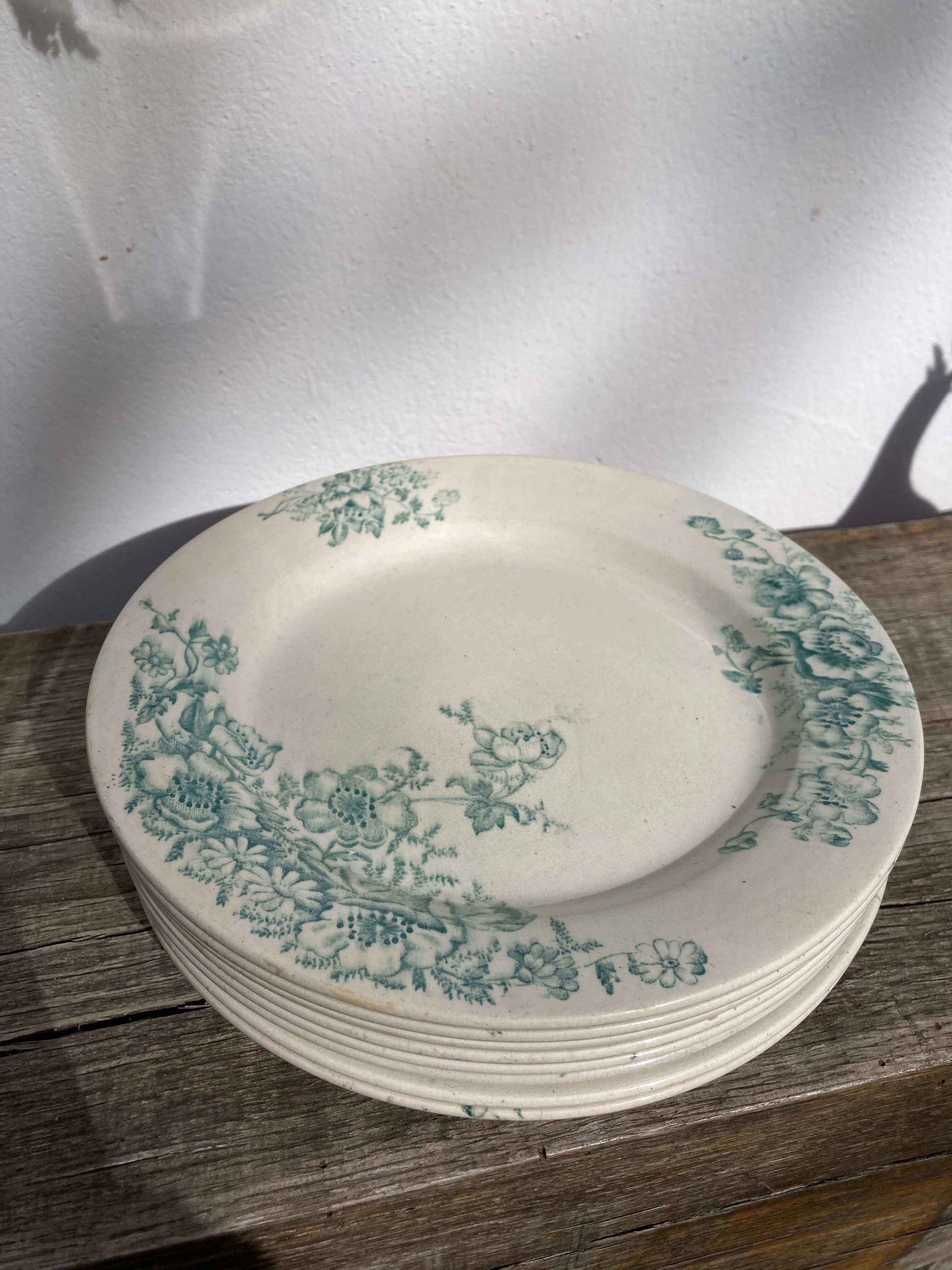 8 Terre de fer plates Anémones Bertrand Bordeaux old in green ceramic decorated with flowers